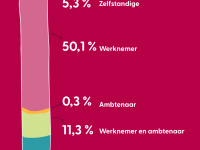 Loopbaan van onze bezoekers