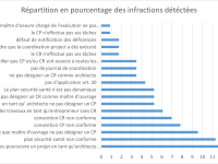 Répartition en pourcentage des 115 infractions identifiées